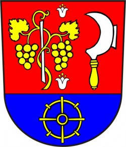 Náhodný výběr z galerie